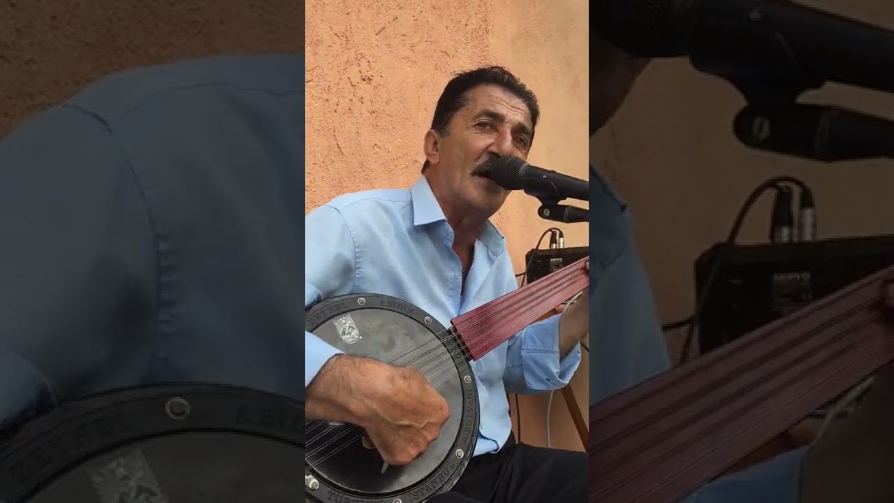 Avlunlu Duran Özer ısırgan otu