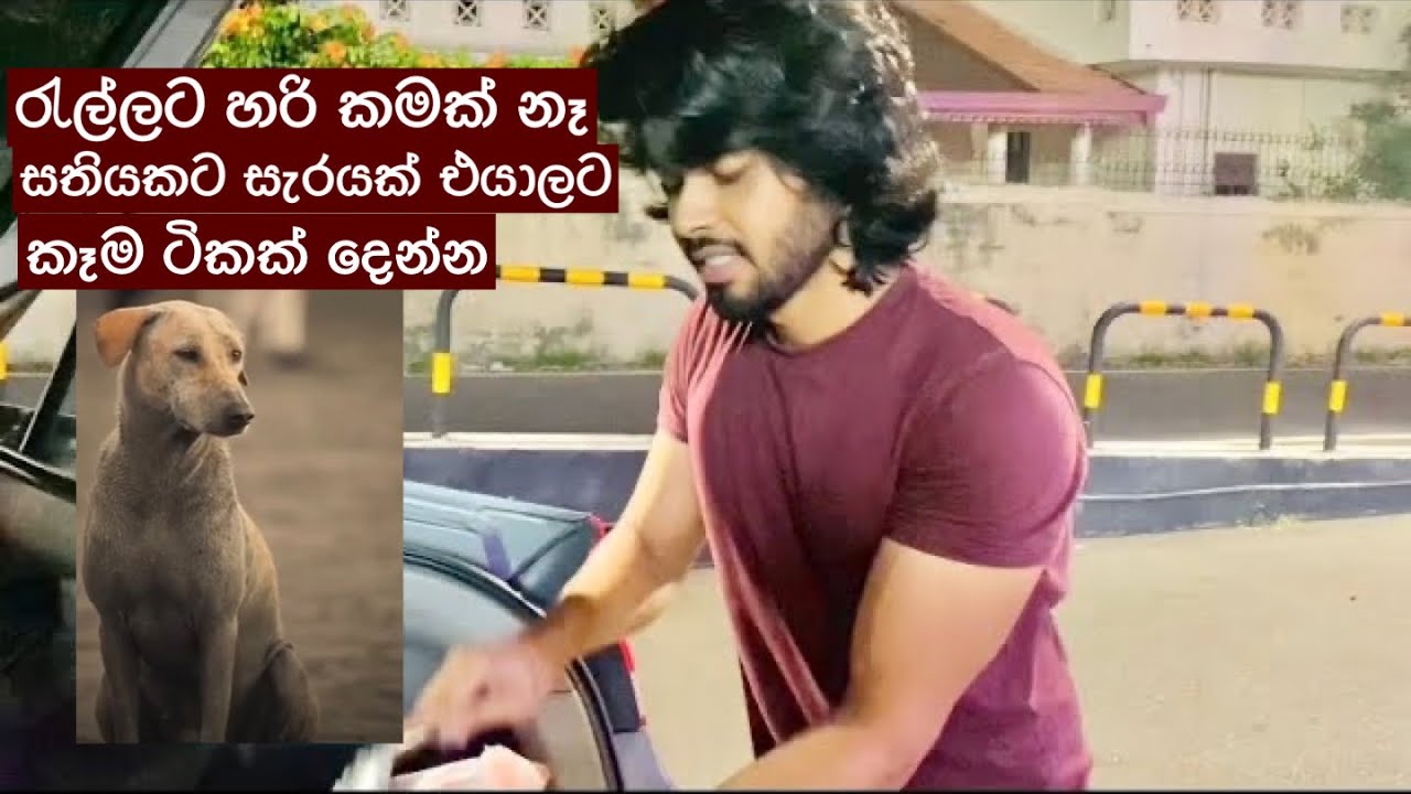 එයාලටත් බඩගිනි දැනෙනවා 🥺♥️ | Nisala Hettiarachchi | Nisu Lovers | Lokkige kathawa