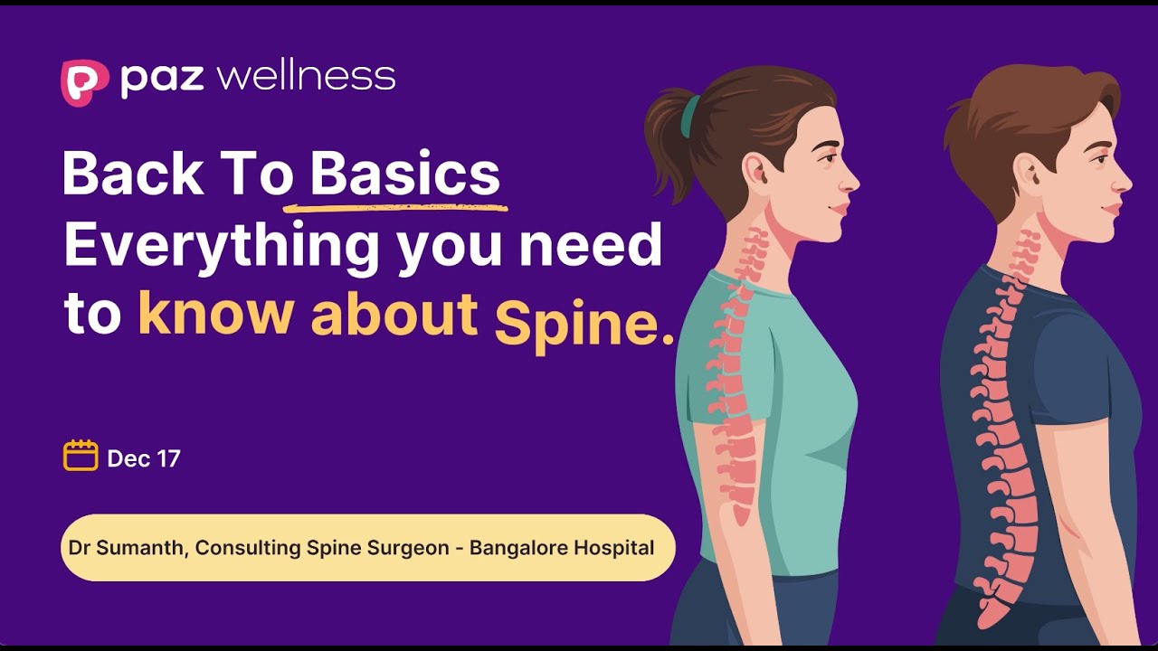 Back Pain Relief & Prevention Guide | Workplace Ergonomics & Spine Wellness for Desk Jobs