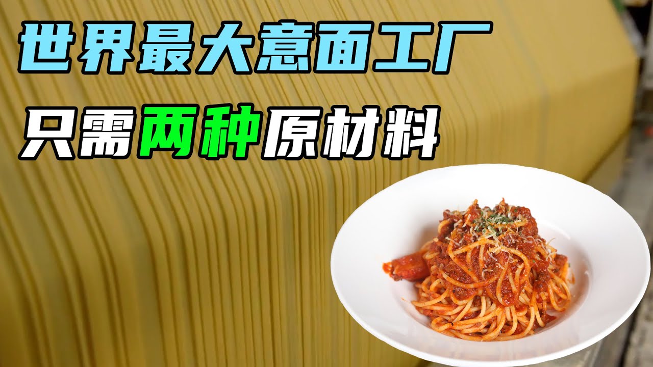 全球最大意面工厂，配料表只有两样！每分钟生产1吨面条