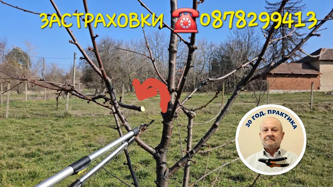 Корегиране на корона. Решение на грешките!