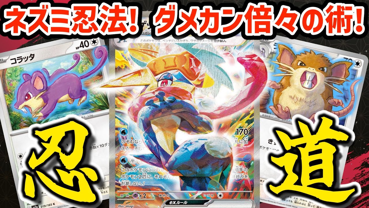【ポケカ対戦】最強コンボ！！コラッタを従えるゲッコウガexの忍術をお見せしよう！！