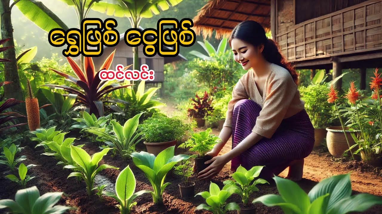 ရွှေဖြစ် ငွေဖြစ် - ထင်လင်း