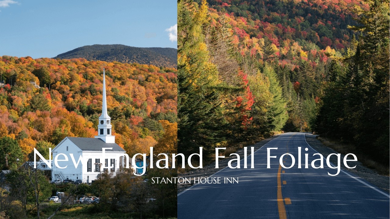 Hidden New England Fall Foliage Spots You Must See! 🍂