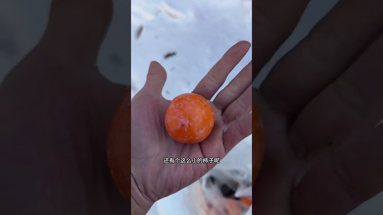 今天很奇怪温度竟然回升了一点还有点不太适应煤炭这回彻底够用了也有了安全感在冷都不会怕#钓鱼 #农村 #钓鱼人就是这么疯狂 #改造小院