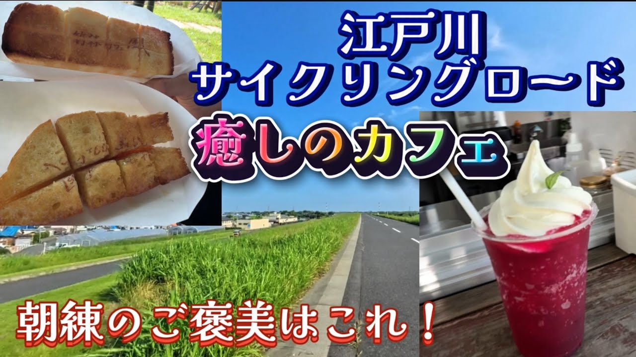 江戸川サイクリングの超人気スポットは想像以上！【ロードバイク女子が初訪問】