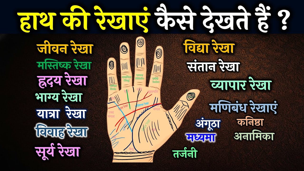 हाथ की रेखाएं कैसे देखते हैं HastRekha| Learn Palmistry in 31 mins | Hast Rekha Video in Hindi