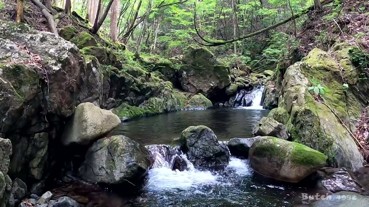 【531-18】【菅平の滝 道中滝】【東京都 檜原村】 【ブッチの3分タッキング】【202306】【1080ｐ60fps】【Japan waterfalls】