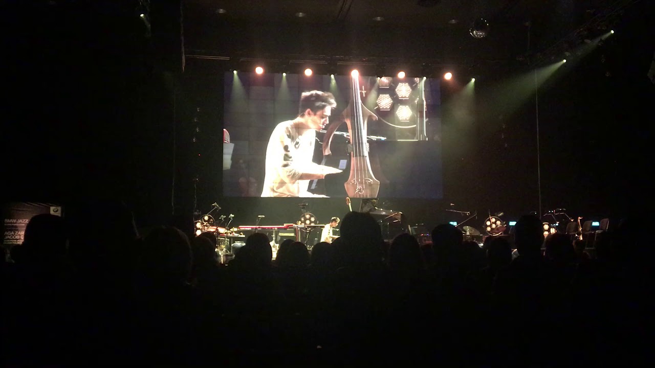 Jacob Collier - Fields Of Gold