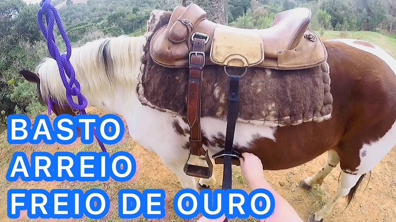 Como SELAR CAVALO *sela gaúcha, arreio, basto*
