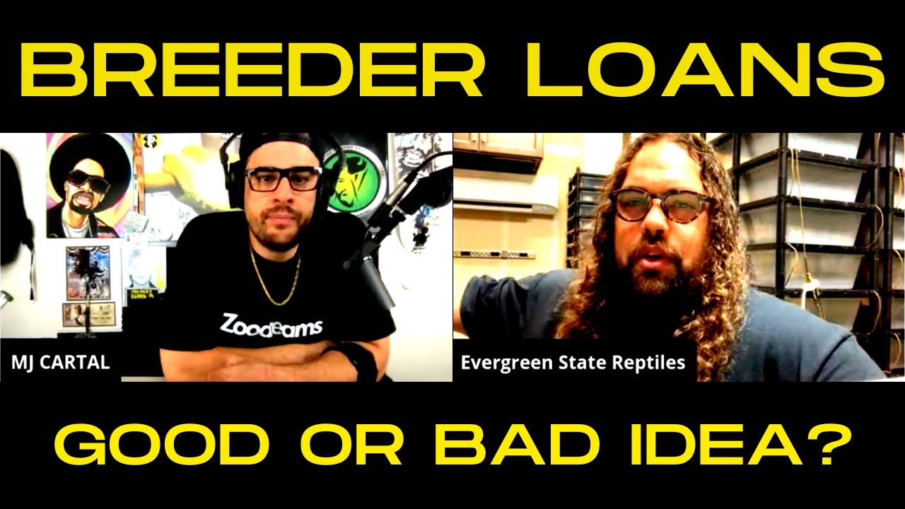 ARE BREEDER LOANS A GOOD OR BAD IDEA? | SHANE WOOLDRIDGE OF EVERGREEN STATE EXOTICS | TRAP TALK CLIP