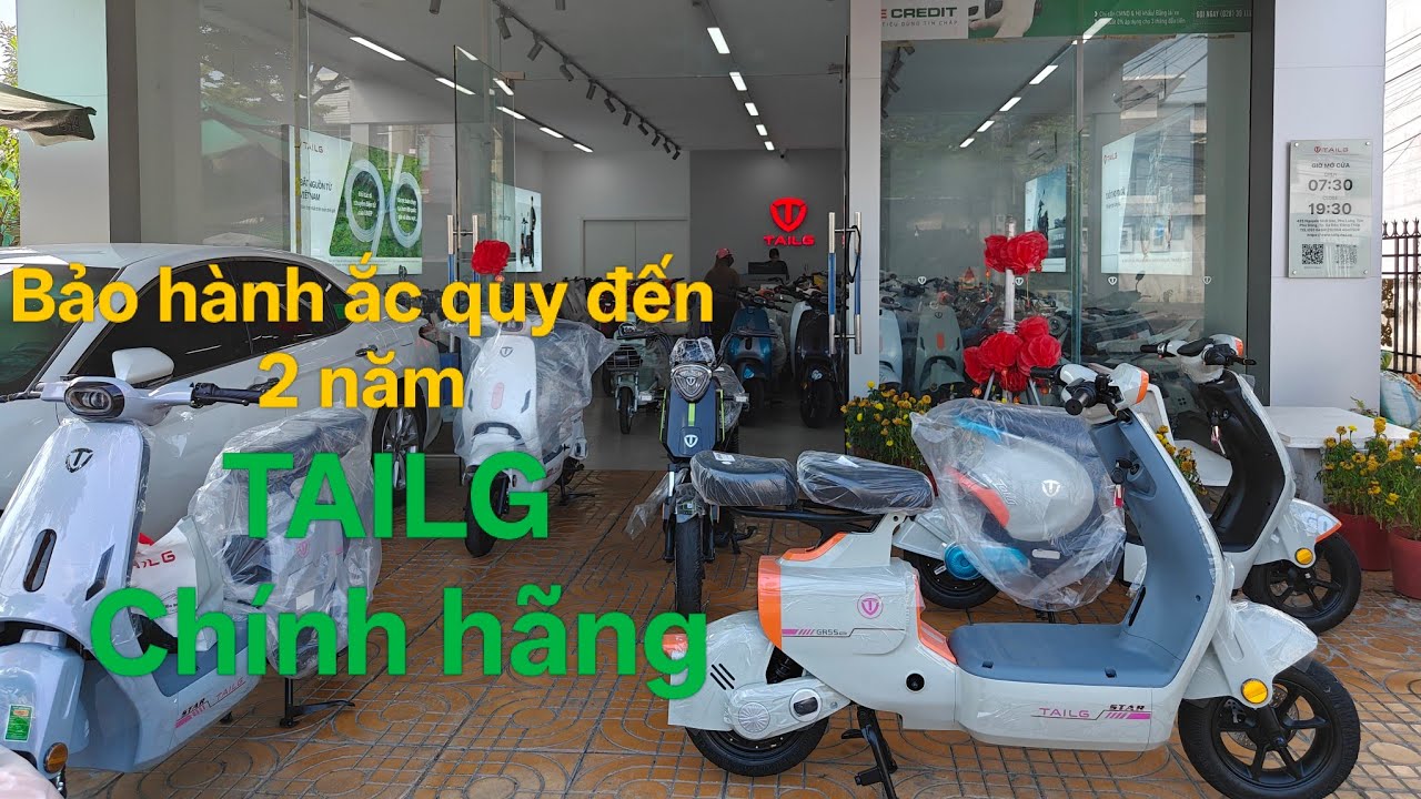TAILG xe đạp điện chính hãng bảo hành ắc quy lên đến 2 năm để khách hàng an tâm chọn lựa ạ👌