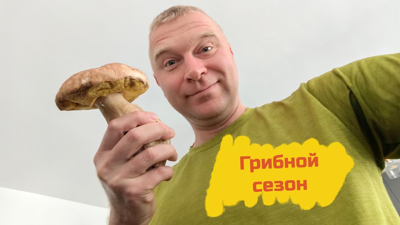 Начался грибной сезон. Зашёл в гости за грибами. 😜 #грибы #румыния #клуж