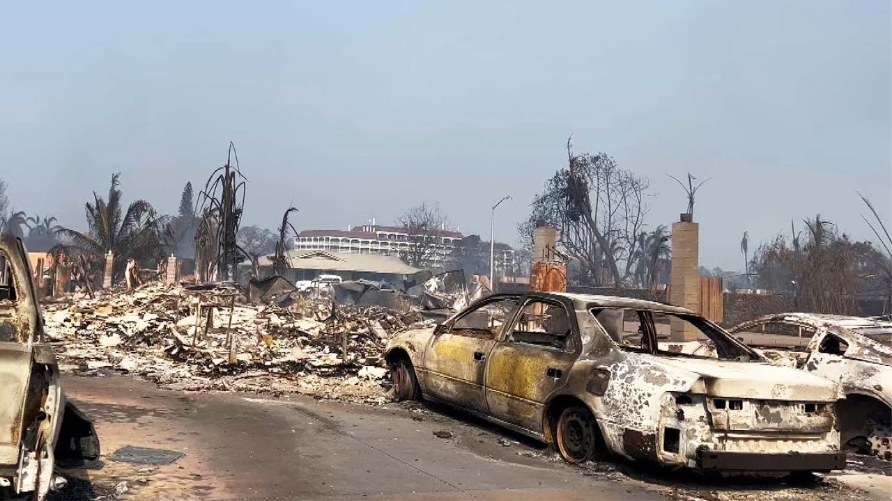 Devastating Wildfires Destroy Hawaii Businesses