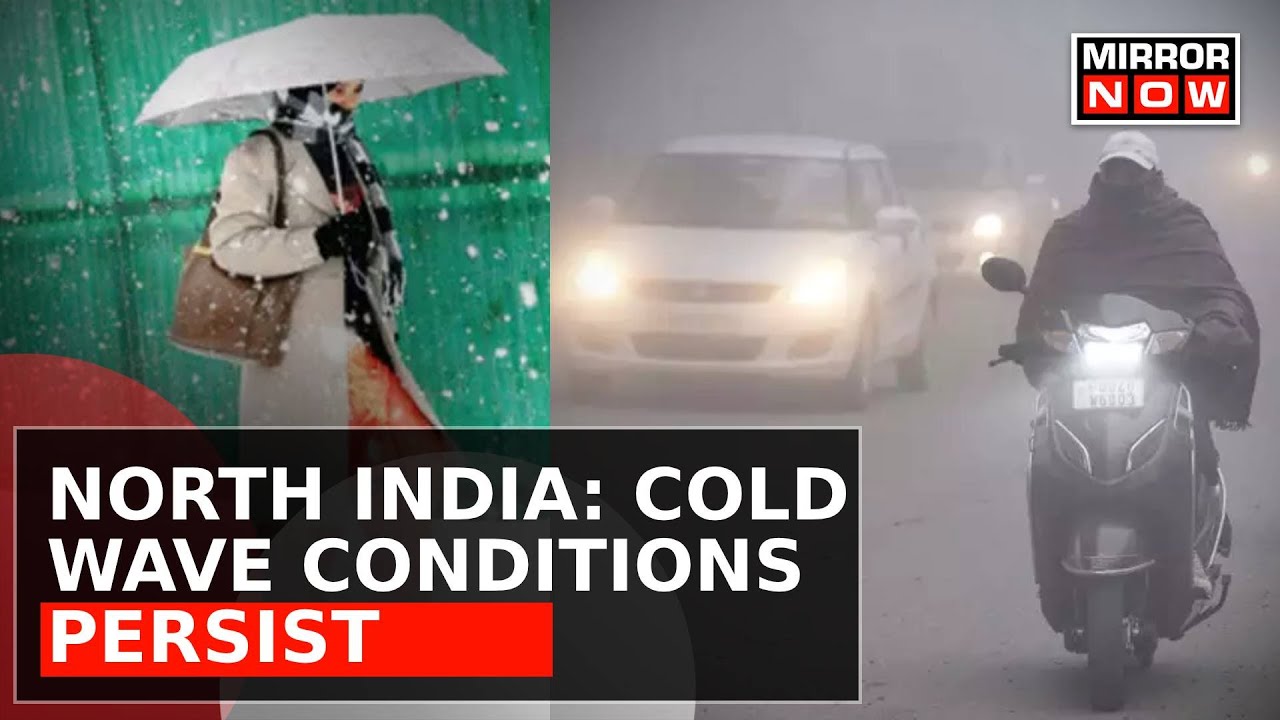 North India Continues To Shiver; IMD Issues Yellow Alert As Cold Wave Conditions Persist | Top News