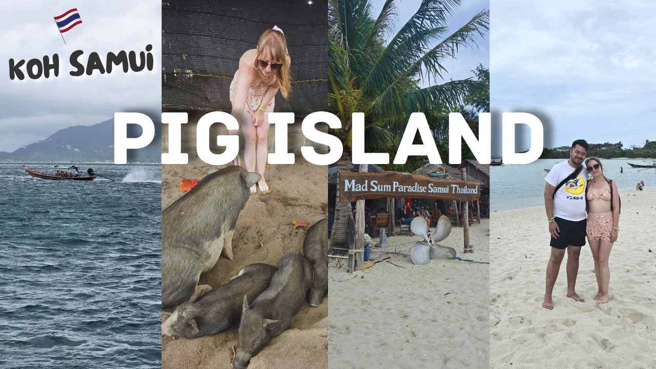 Pig Island & Pink Dolphins | Koh Samui Vlog