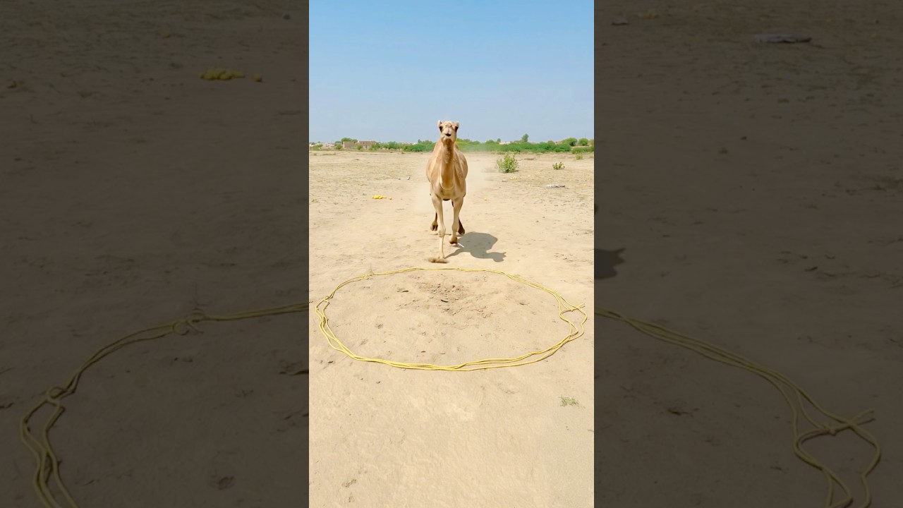 Allah Tala ke madad 😭 #ytshorts #news #prayer #today #trending #emotional #youtubeshorts#shorts
