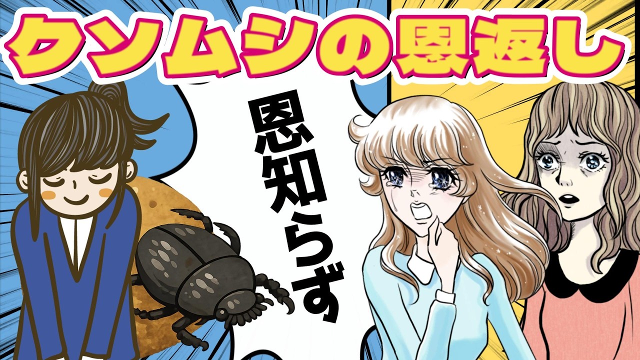 すげえ迷惑な恩返しをしてくるフンコロガシ【アニメコント】
