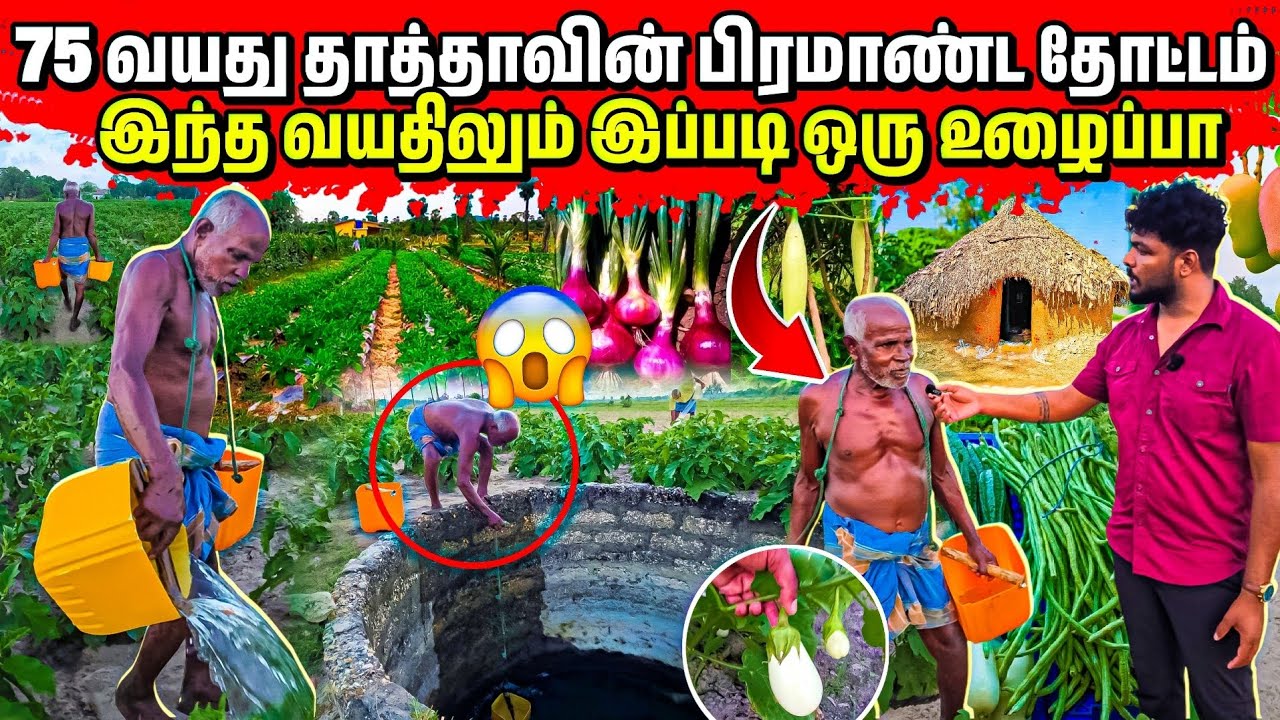 75 வயது மட்டுவில் தாத்தாவின் அபார உழைப்பு 😱 | இளைஞர்கள் பார்க்க வேண்டிய காணொளி | Rj Tamizha 
