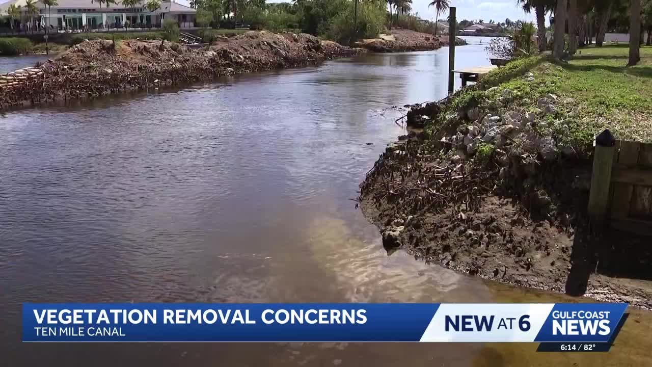 Concerns rise over vegetation removal on Ten Mile Canal in Lee County