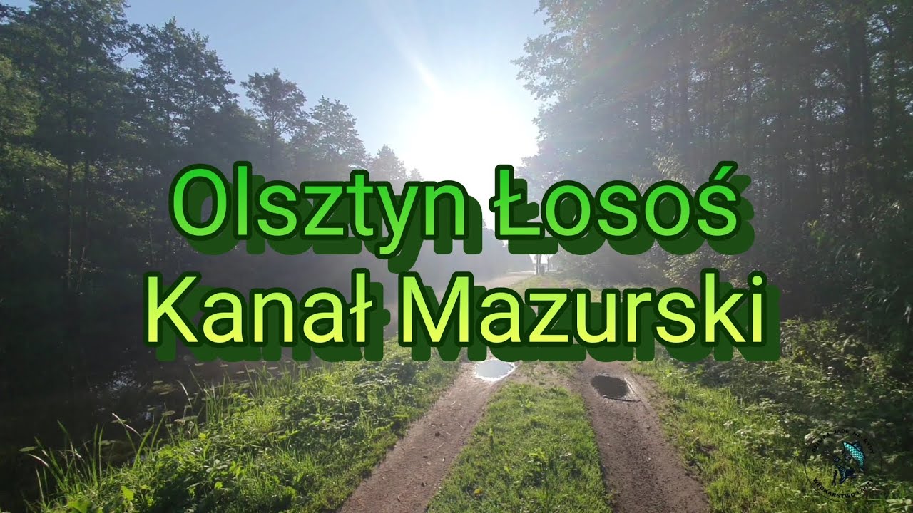 #79 Zawody spławikowe drużynowe Olsztyn Łosoś Kanał Mazurski 2024