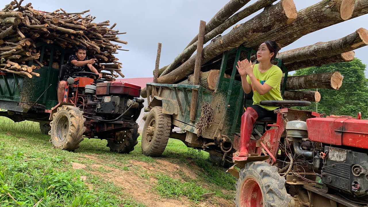 Agricultural vehicle carrying wood, talented girl's wood loading talent
