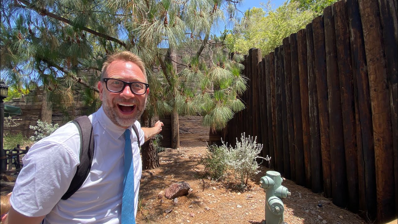 РЕДЧАЙШИЙ СПРЯТАННЫЙ МИККИ В ДИСНЕЙЛЕНДЕ ОБНАРУЖЕН