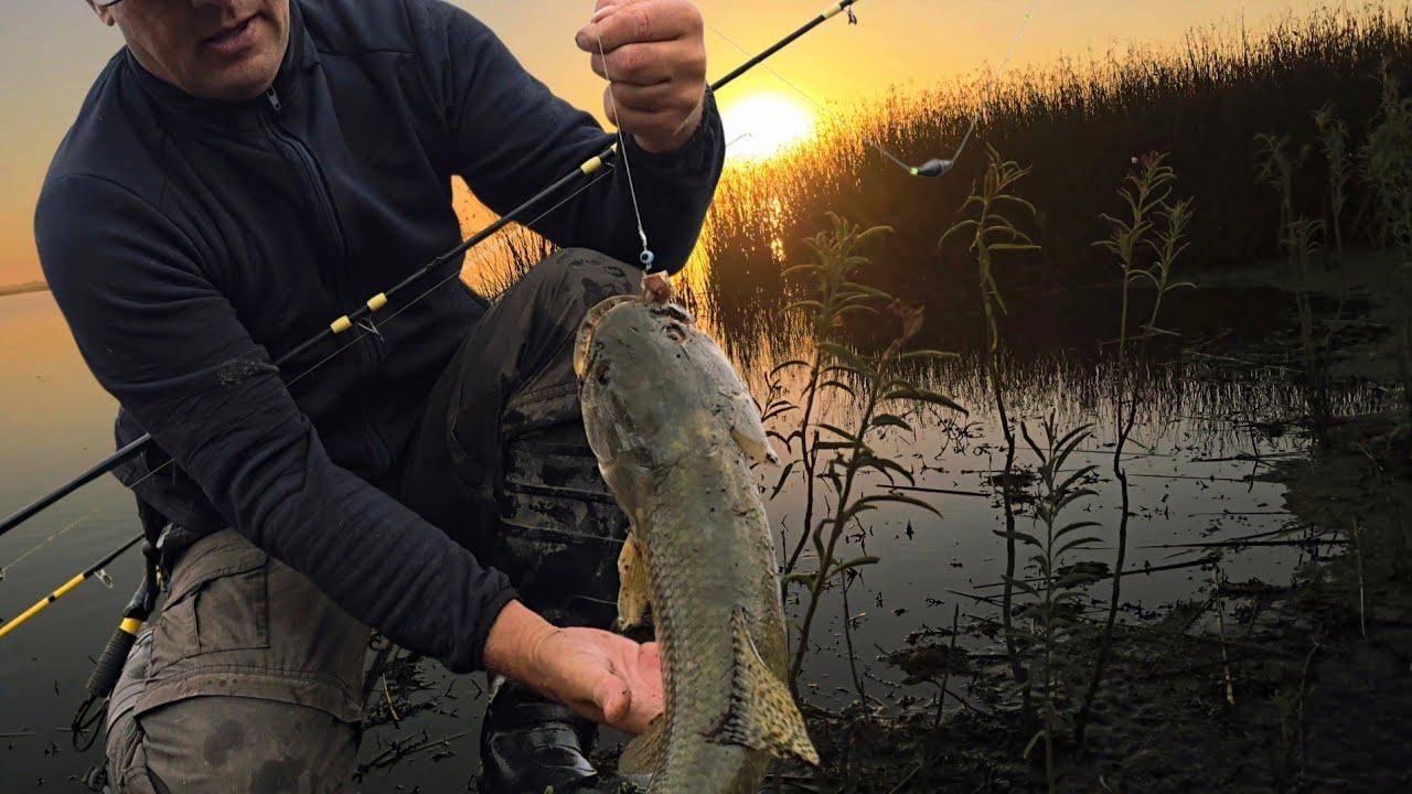 Hermosa sorpresa en la laguna privada. Pesca de Tarariras. Superé mi récord de 1.4 kg