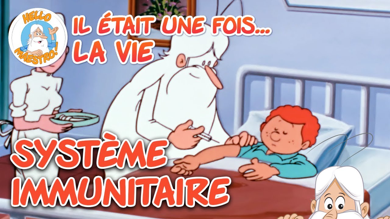 Système immunitaire | Compilation d'épisodes | Il était une fois... la Vie