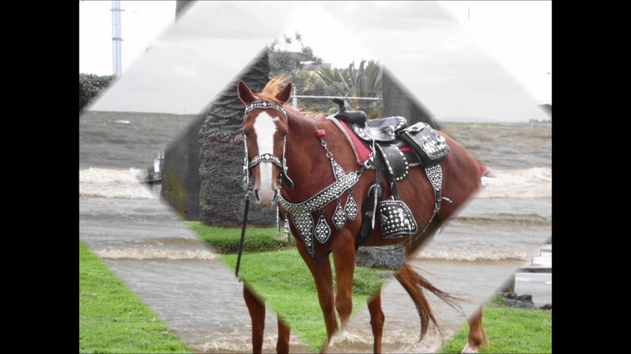 The Horseman from St Kilda - The Legend lives on
