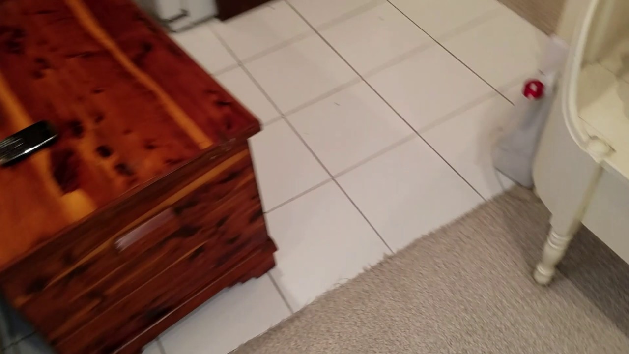 Cleaning nasty berber carpets!