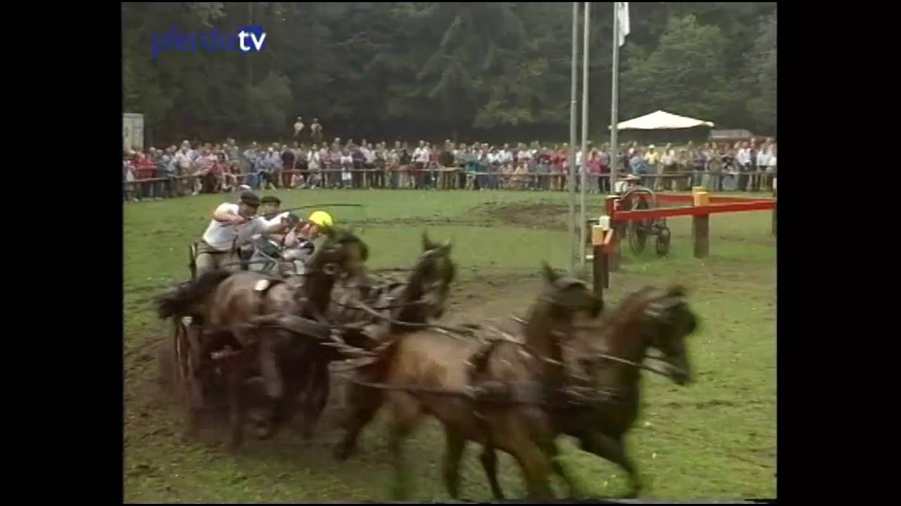 Die Weltmeisterschaft der Vierzugfahrer 1992 in Riesenbeck | Legendärer Fahrsport