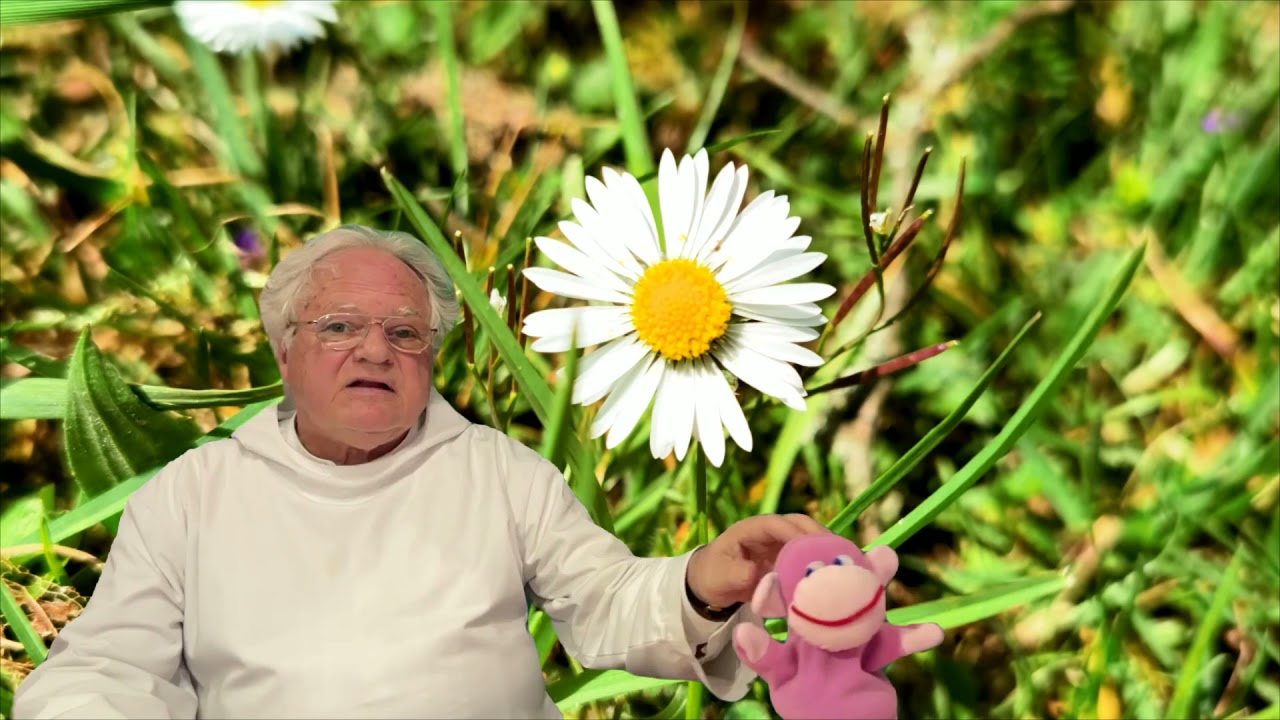 Resilienz - die Kunst des Stehaufmenschen