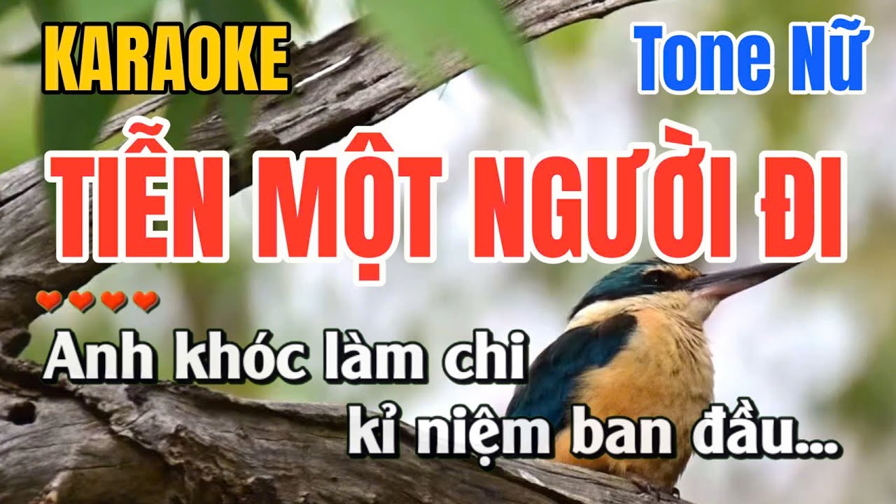 Tiễn Một Người Đi ➤ Karaoke Tone Nữ ➤ Gia Anh Beat