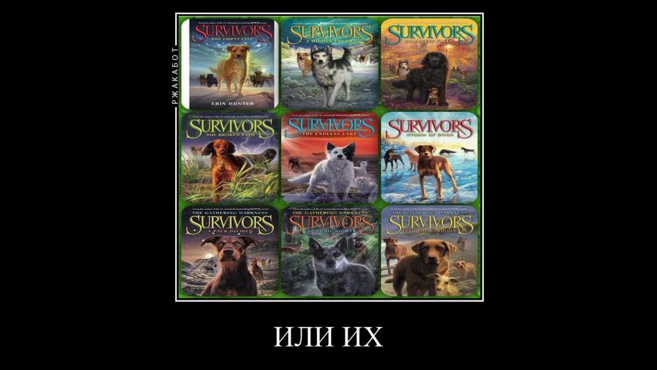 а я выбираю бургер. #warriorcats #котывоители #кв