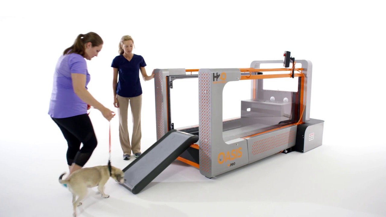 Underwater Treadmill for Dogs - The Oasis