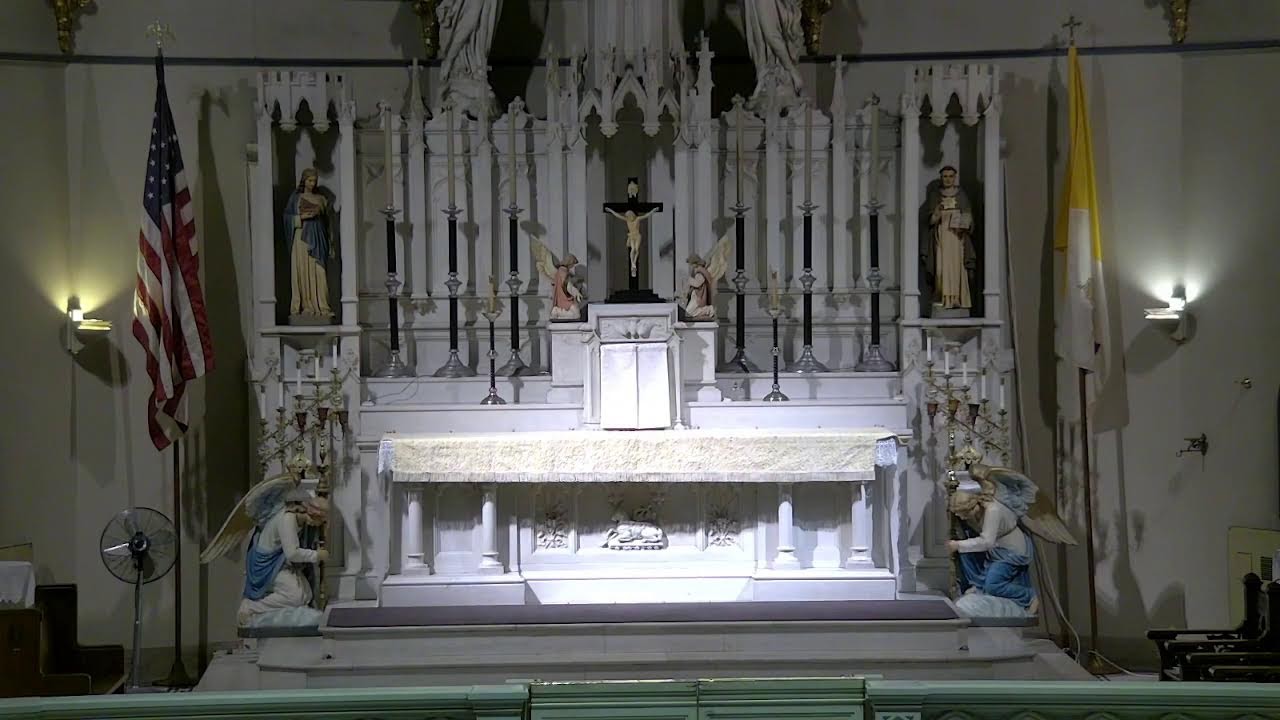 Holy Mass 3/7/26 - Feast of St. Thomas Aquinas, First Saturday
