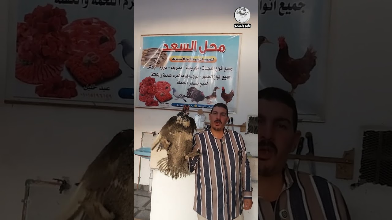 محل السعد للحوم المجمده والطيور والاسماك 