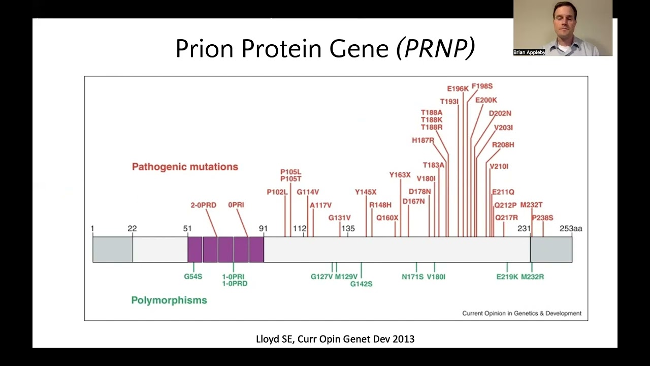 Genetic Prion Disease Webinar
