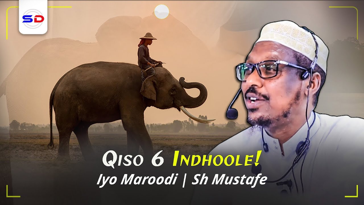 Sheekh Mustafe X | Qiso 6 Indhoole Iyo Maroodi ~ Xikmad Cajiiba Aqoonta Aadamaha Heerka Ay Joogto!