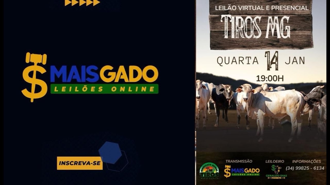 🐂🐄🐃 LEILÃO VIRTUAL DO SINDICATO DOS PRODUTORES RURAIS DE TIROS- MAIS GADO LEILÕES ONLINE 🐂🐄🐃