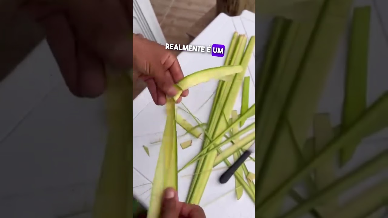 A arte de quem trabalha na beira da praia é incrível 