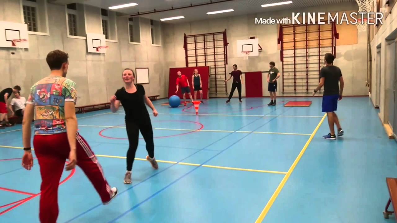 Apenkooien met ApenkooiGym