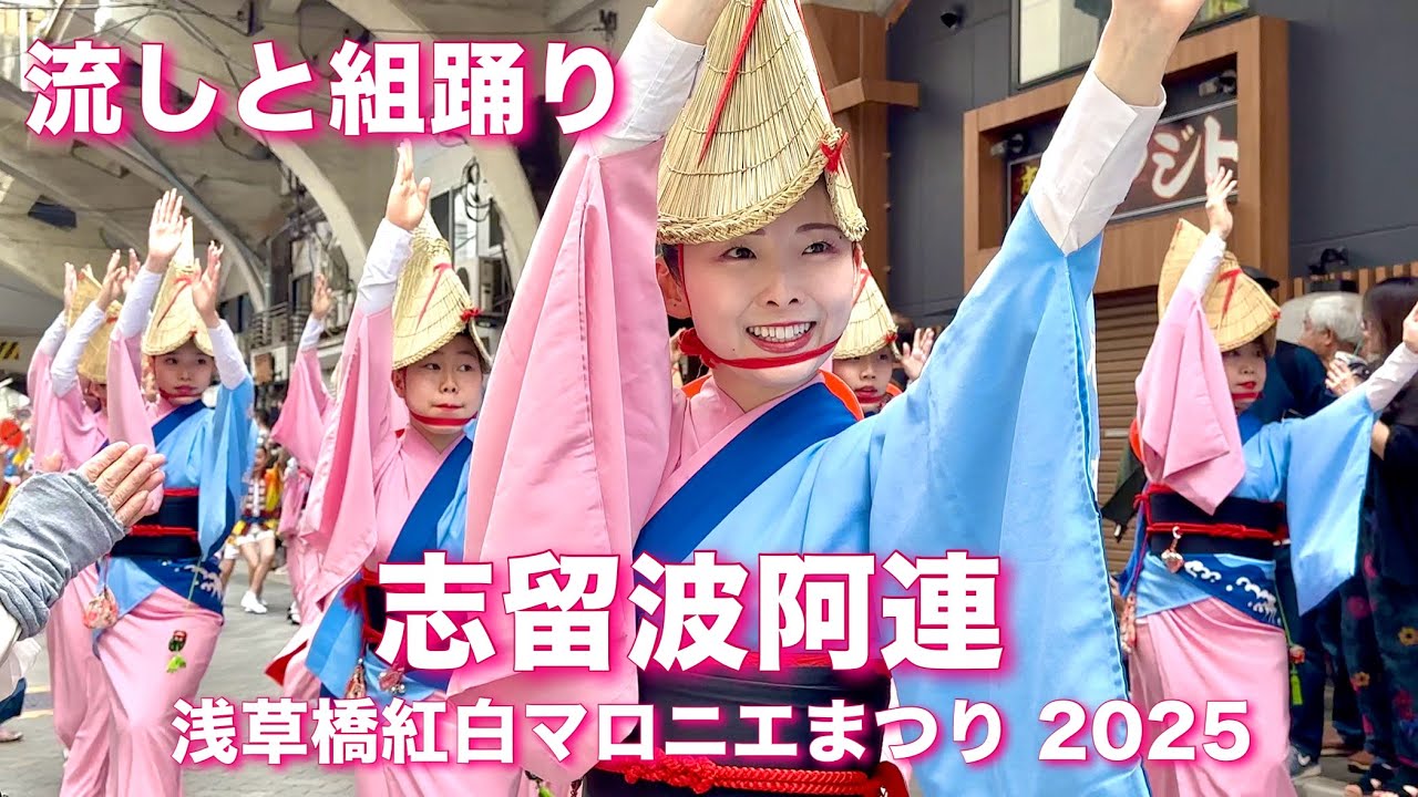 【阿波踊り2025|志留波阿連】流しと組踊り！魅力全開！下町に阿波おどりの華が咲く！浅草橋紅白マロニエまつり