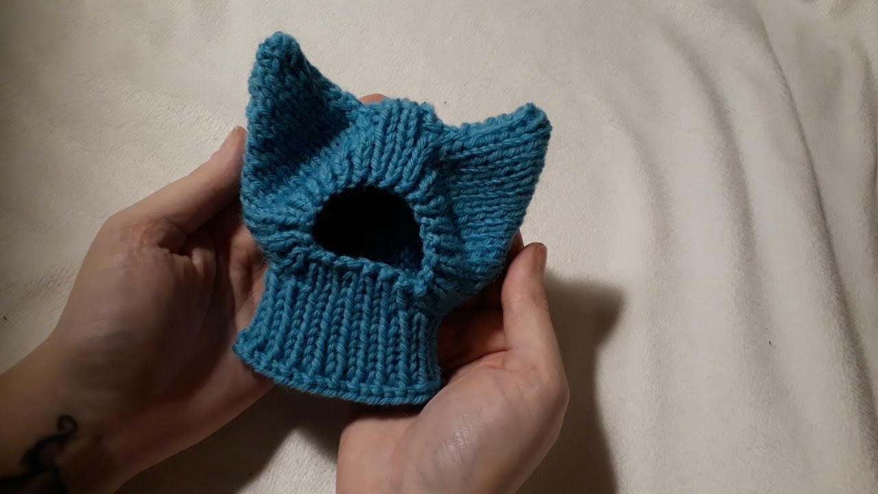 #knit #doghat with ears. Keep your #chihuahua warm this winter.