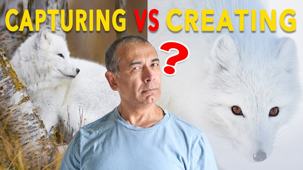 The Hidden Difference Between Average and Stunning Wildlife Photos