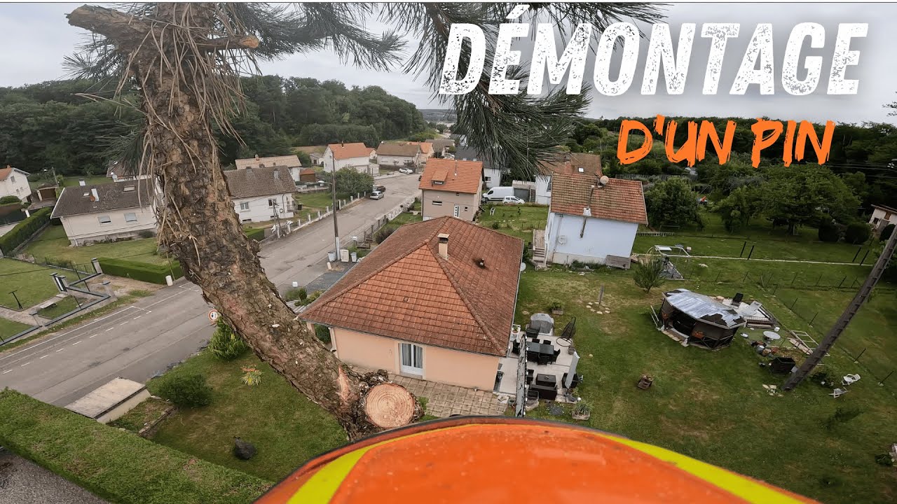 Démontage d'un Pin / STIHL MS 201