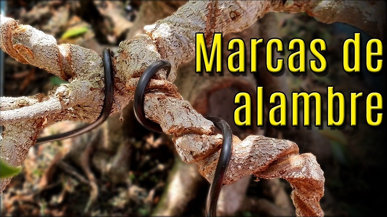 Alambres muy clavados - Cómo actuar