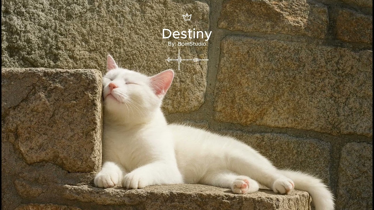 Destiny (Official Video) Audio, Jazzy Hit-Hop, R&B