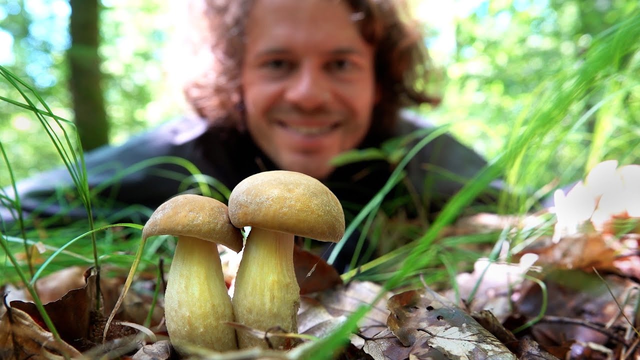 Glücksmomente beim Pilze sammeln im August 2023